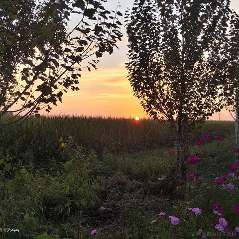 私涙洇于2023-04-16 12:09发布的图片