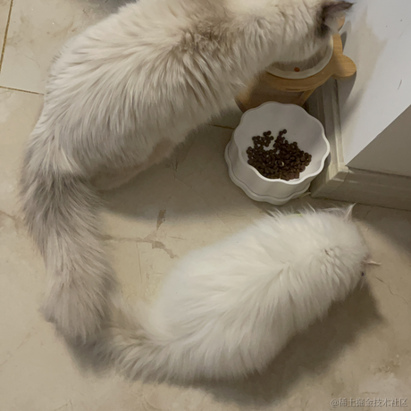 3U小吴于2022-02-25 19:10发布的图片