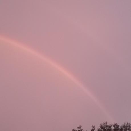 好饿好饿于2023-06-19 21:31发布的图片