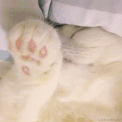 acaiEncode于2021-08-01 10:47发布的图片