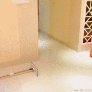 德育处主任于2024-01-18 09:02发布的图片