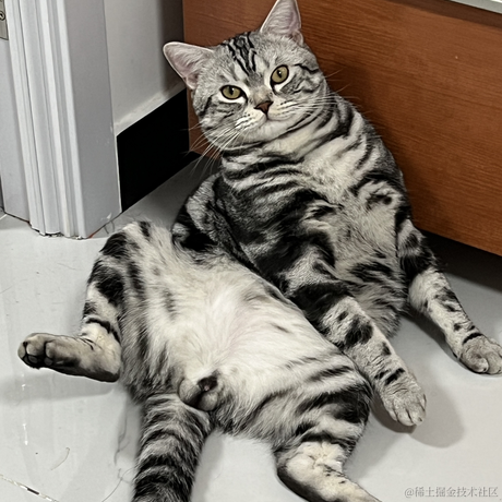 一颗小肉丸儿于2023-04-18 18:47发布的图片