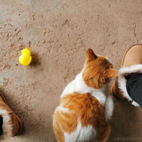 托马斯穆勒于2022-12-05 01:00发布的图片