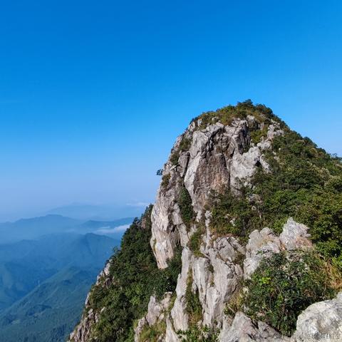 脆弱杨桃干于2022-11-18 23:29发布的图片