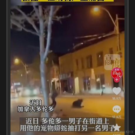 Mixi于2023-06-03 09:40发布的图片