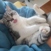 前端唱跳rap的个人资料头像