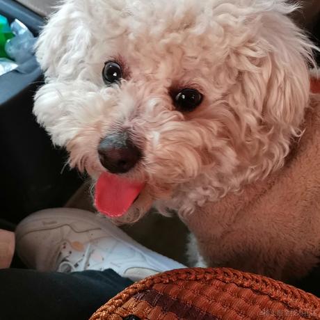 hhhhhao于2023-01-20 08:11发布的图片