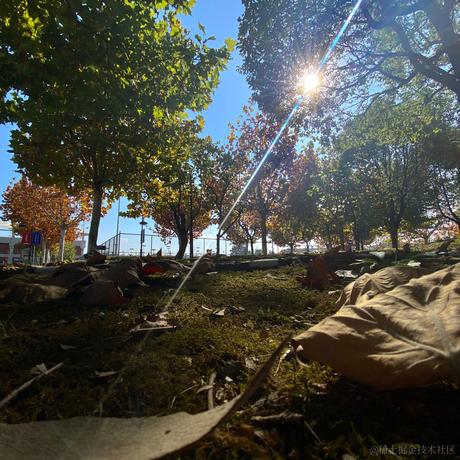 铸币小向晚于2023-06-19 07:16发布的图片