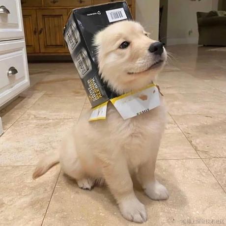 是安安呀于2023-04-10 16:21发布的图片