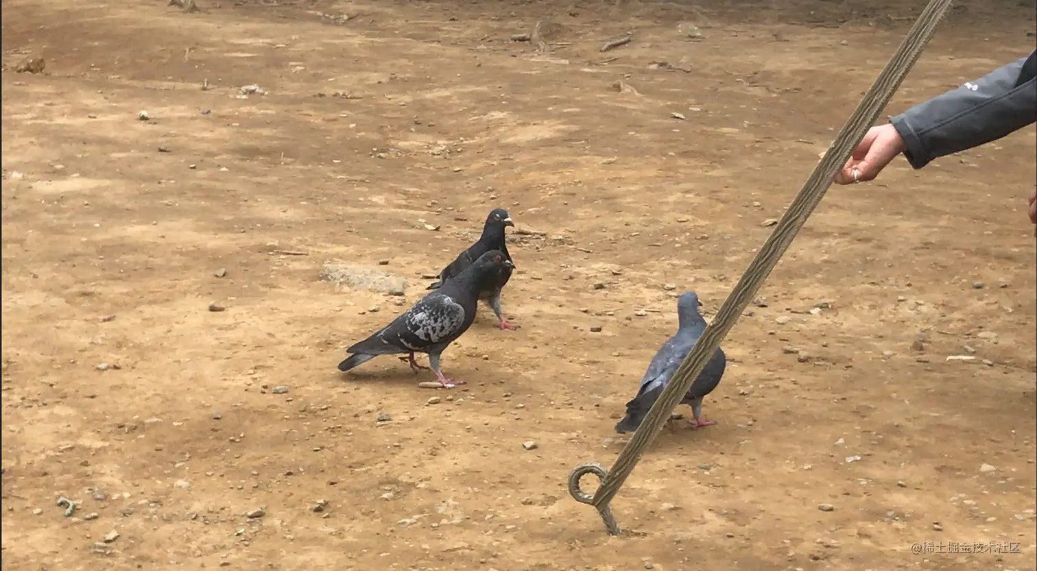 スクリーンショット 2022-12-31 184903.png