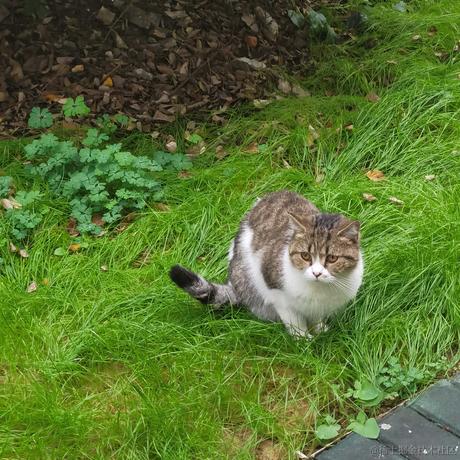 贝极星不是憨憨于2022-11-18 15:58发布的图片