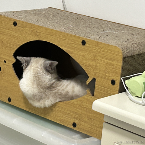 llight于2023-04-23 22:10发布的图片