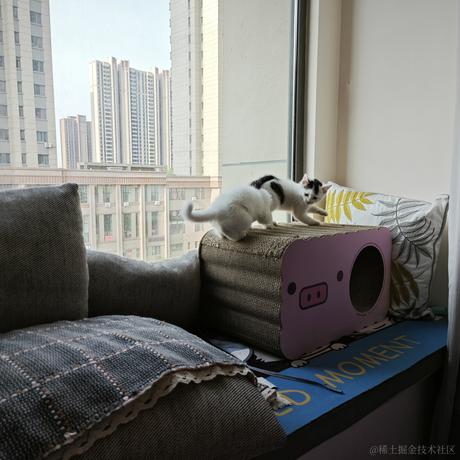 C9的Diana本人于2023-07-04 09:15发布的图片