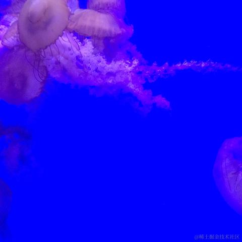 魔怔时代于2022-11-15 19:02发布的图片