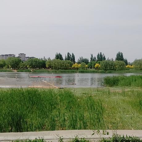 用户6208556511438于2023-05-08 23:58发布的图片