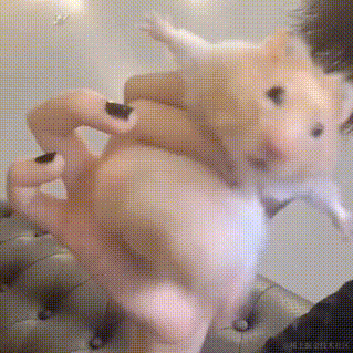 地狱拖拉机于2022-11-20 10:36发布的图片