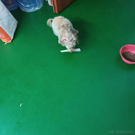 龙龙欧龙龙于2022-11-23 12:45发布的图片