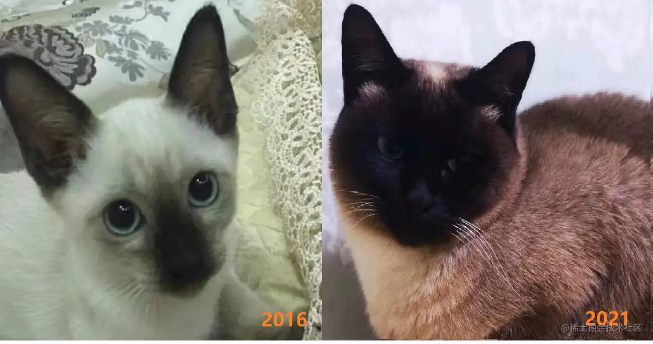 已黑化.png