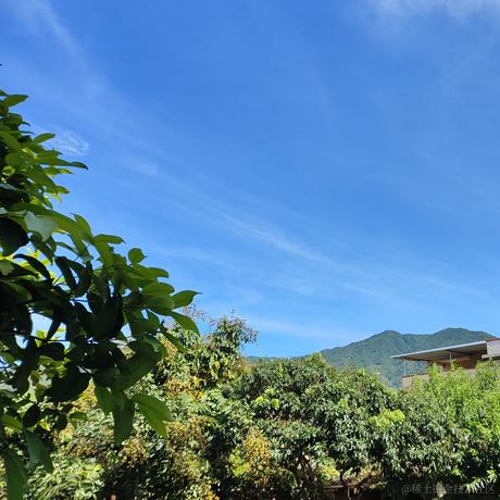 关住嘉然炖炖解馋于2023-06-29 11:21发布的图片