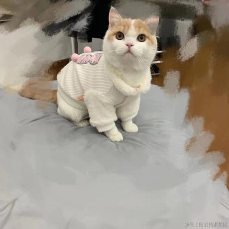 HomoLudens于2022-04-19 09:15发布的图片