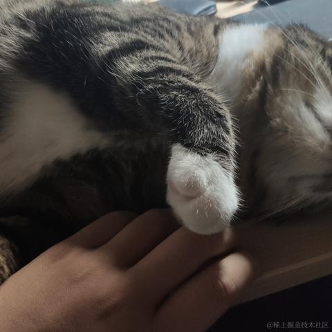 KuuBee于2020-08-11 13:40发布的图片