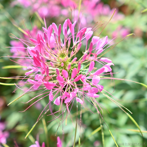 半夏1024于2023-05-09 09:39发布的图片