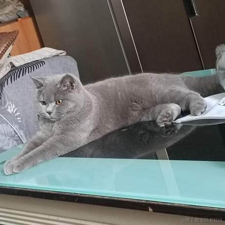 尤依莉于2022-06-25 07:35发布的图片