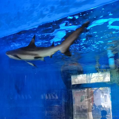 乃贝赢于2022-11-28 13:09发布的图片