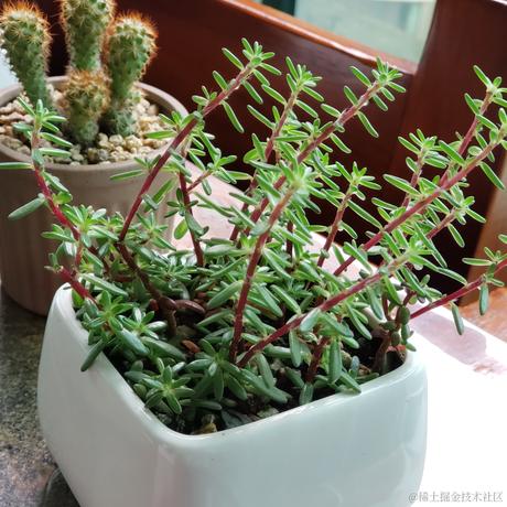 晚子不可以于2022-11-25 15:29发布的图片