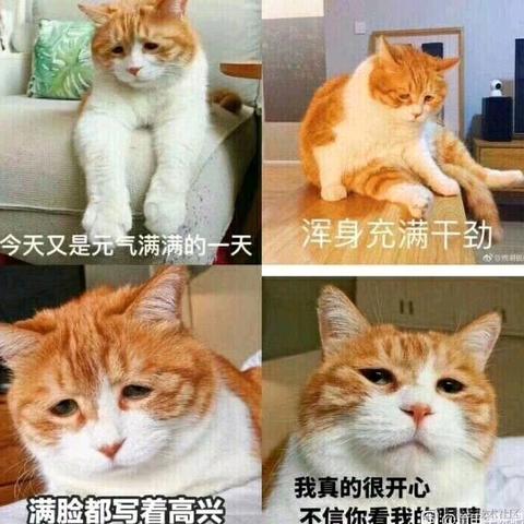 百里落云于2022-09-19 12:42发布的图片