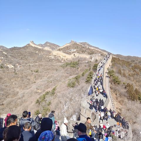 私涙洇于2023-04-02 13:41发布的图片