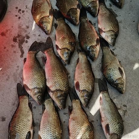 俺不中嘞于2023-11-24 13:43发布的图片