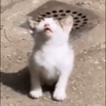 Daniel_01于2022-07-14 14:30发布的图片