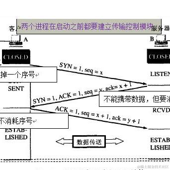 码界西柚于2024-01-19 15:03发布的图片