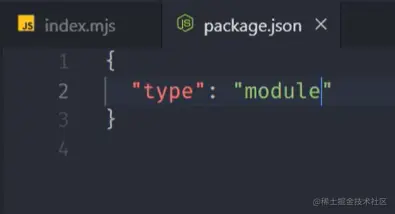 package_json.png
