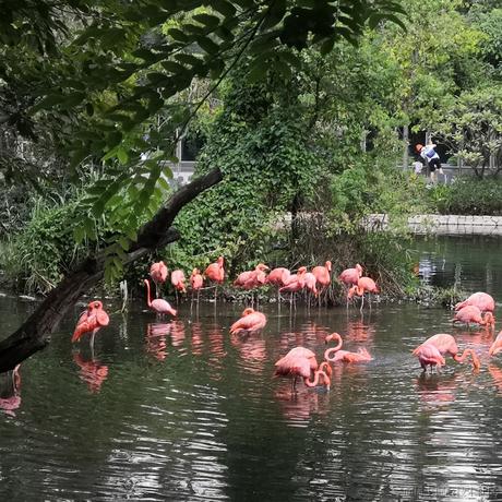 归去来别重名于2022-12-08 07:19发布的图片