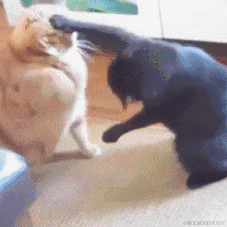 哒哒哒哒0000于2020-10-09 09:41发布的图片