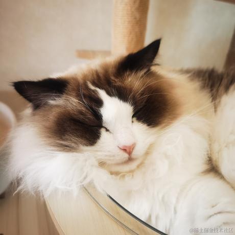 Firmament于2022-11-27 12:13发布的图片