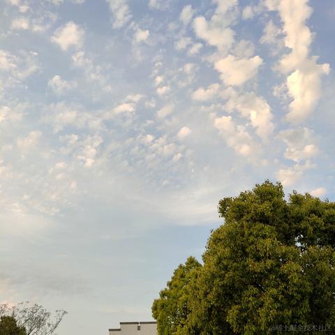 用户2092099630409于2021-08-31 11:53发布的图片