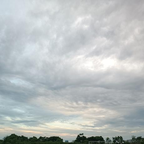 然然今天吃雪莲于2023-06-25 19:21发布的图片