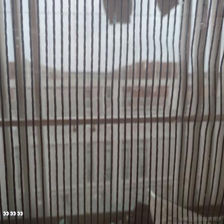 蹄蹄于2022-11-12 08:19发布的图片