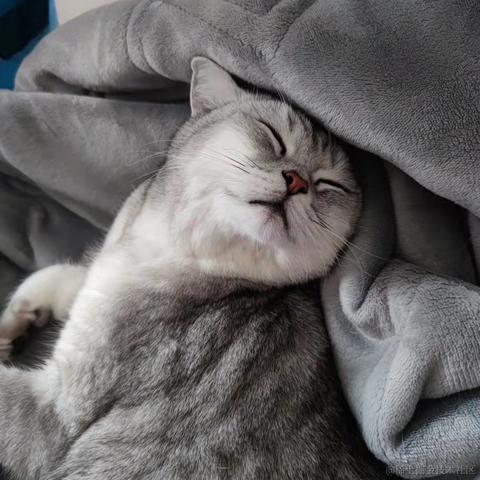 今天你写bug了嘛于2021-10-27 18:00发布的图片