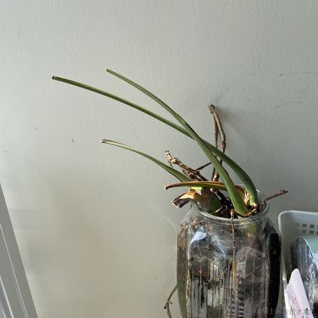 已注销于2023-02-18 12:11发布的图片