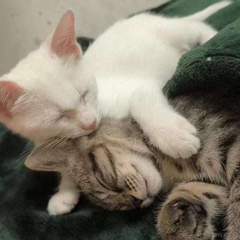 知_足于2023-10-20 15:49发布的图片