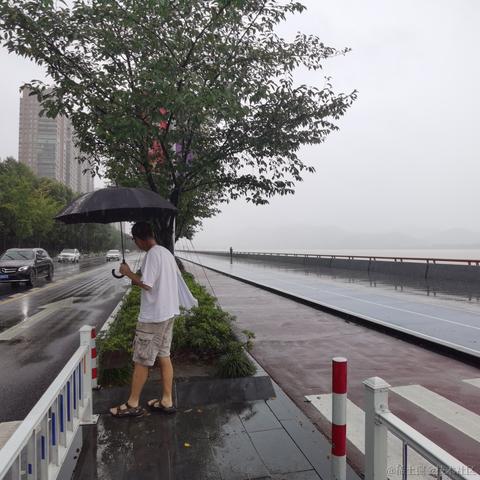 泊浮目于2021-07-26 12:46发布的图片