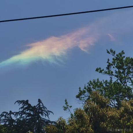 精致的猪猪于2022-04-07 09:33发布的图片