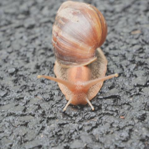 向晚的妻子于2022-11-11 22:32发布的图片