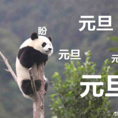不知道起什么名字啊于2021-10-07 22:19发布的图片