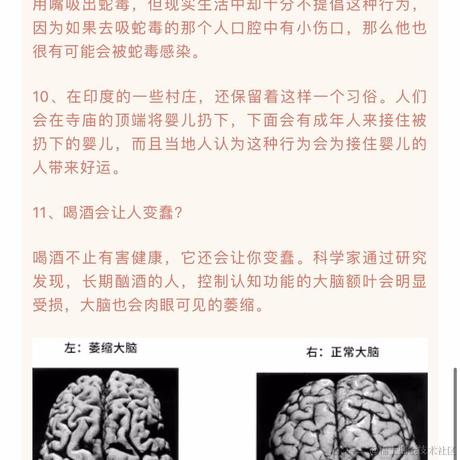 d小王子b于2023-04-02 01:23发布的图片