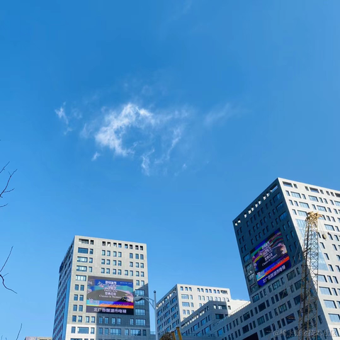 lizheming于2021-05-21 13:27发布的图片